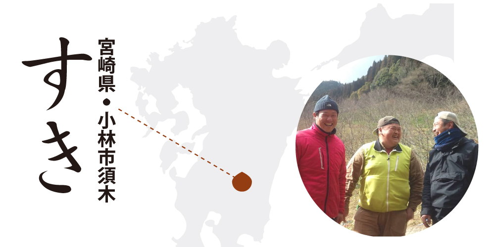 ziguri　しまんと地栗　須木栗　和水栗　高知　四万十　宮崎　熊本　国産栗　和栗　マロン　スイーツ　モンブラン　ケーキ　栗つつみ　栗大福　和菓子　栗きんとん　お取り寄せ　ギフト　プレゼント　贈りもの　包装　ラッピング　のし