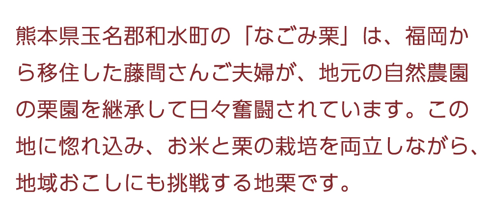 ziguri　しまんと地栗　須木栗　和水栗　高知　四万十　宮崎　熊本　国産栗　和栗　マロン　スイーツ　モンブラン　ケーキ　栗つつみ　栗大福　和菓子　栗きんとん　お取り寄せ　ギフト　プレゼント　贈りもの　包装　ラッピング　のし