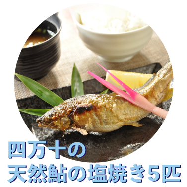 父の日　ギフト　四万十川　天然鮎　塩焼き　炭火焼き　国産鮎　川の幸　レンチン　個包装　高知　四万十