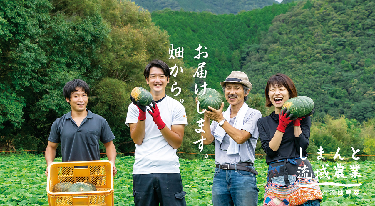 流域野菜 四万十 しまんと 野菜 無農薬 化学肥料不使用 安心安全