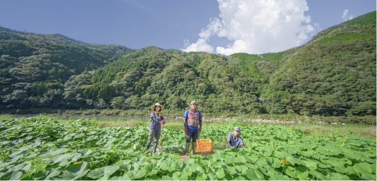 四万十川流域のにんじん芋畑と生産者