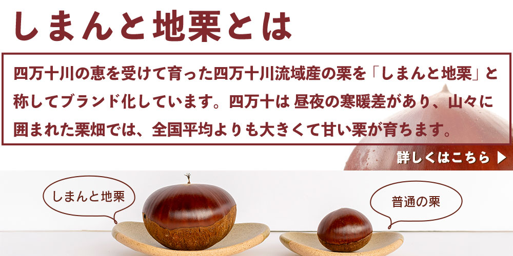 しまんと地栗　新栗　秋　旬　ギフト　贈りもの　和栗　焼き菓子　モンブラン　栗スイーツ　ケーキ　クッキー　詰め合わせ　ギフト券　白砂糖不使用　添加物不使用　四万十川　高知　四万十　ラッピング　包装　のし　熨斗　予約