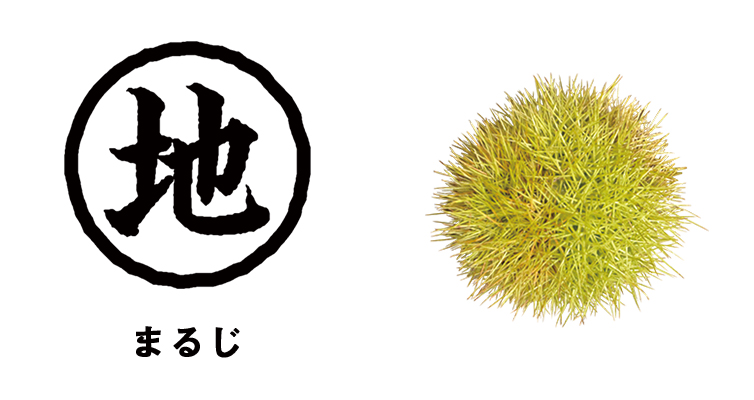 まるじ 〇地とは しまんとの新栗 和栗 しまんと地栗 モンブラン お取り寄せ