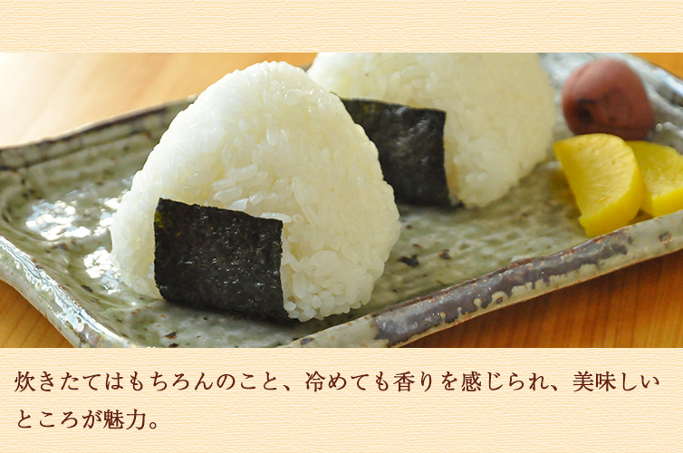 かおり米 お米 新米 香り米 十和錦 四万十 shimanto 高知