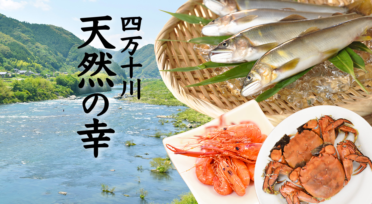 鮎 川エビ うなぎ 鰻 四万十川 四万十 川の幸 お取り寄せ ギフト お中元 お歳暮 