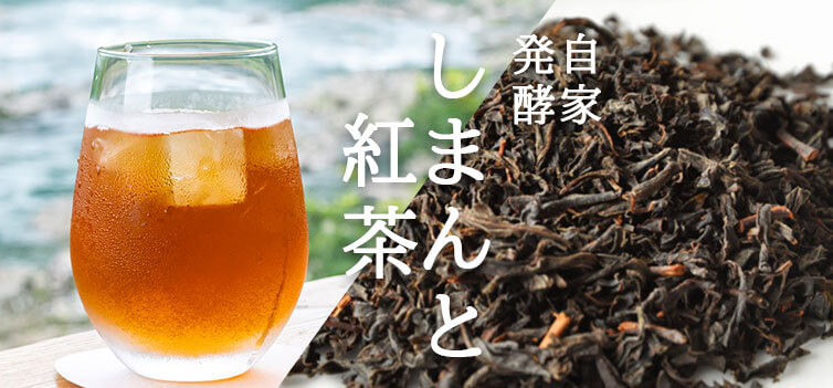 紅茶 しまんと紅茶 greattaste2025 受賞 和紅茶 四万十 shimanto 高知