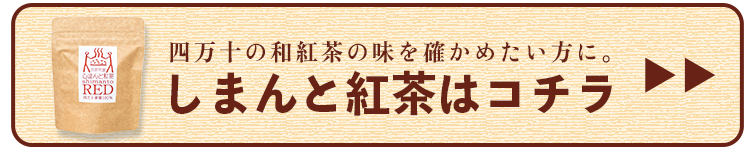 紅茶 しまんと紅茶 greattaste2025 受賞 和紅茶 四万十 shimanto 高知