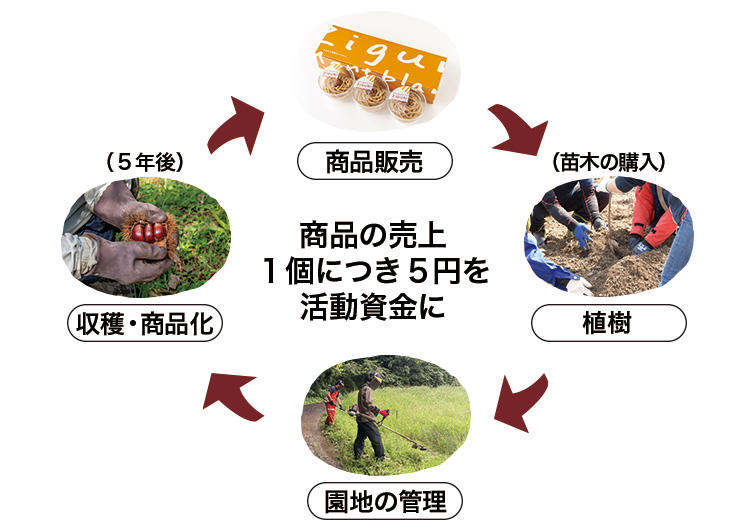 しまんと地栗 再生プロジェクト 5000本植樹 栗の木 栗園モンブラン 栗きんとん 四万十川 しまんと地栗 地域産業 特産品