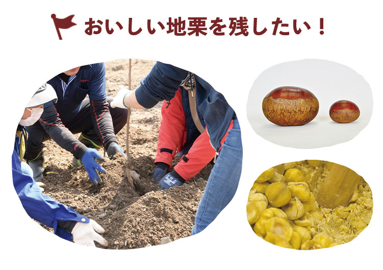 しまんと地栗 再生プロジェクト 5000本植樹 栗の木 栗園モンブラン 栗きんとん 四万十川 しまんと地栗 地域産業 特産品