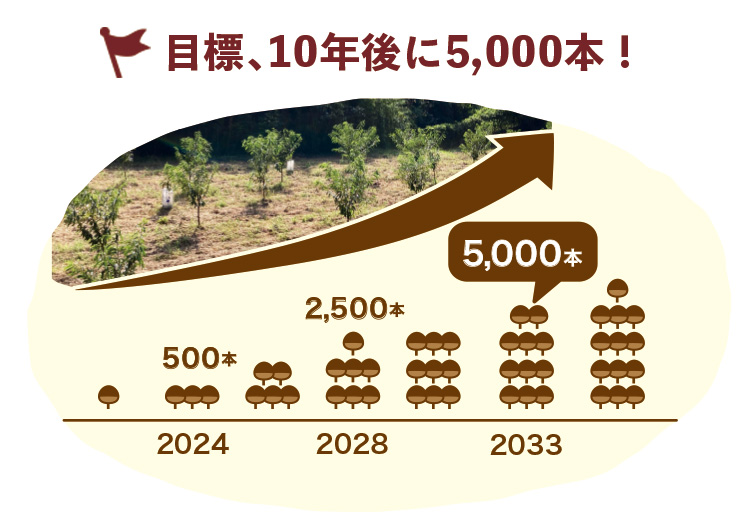 しまんと地栗 再生プロジェクト 5000本植樹 栗の木 栗園モンブラン 栗きんとん 四万十川 しまんと地栗 地域産業 特産品