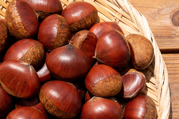 クリスマスケーキ 栗スマス しまんと地栗 和栗 国産 モンブラン ギフト gift お取り寄せ プレゼント