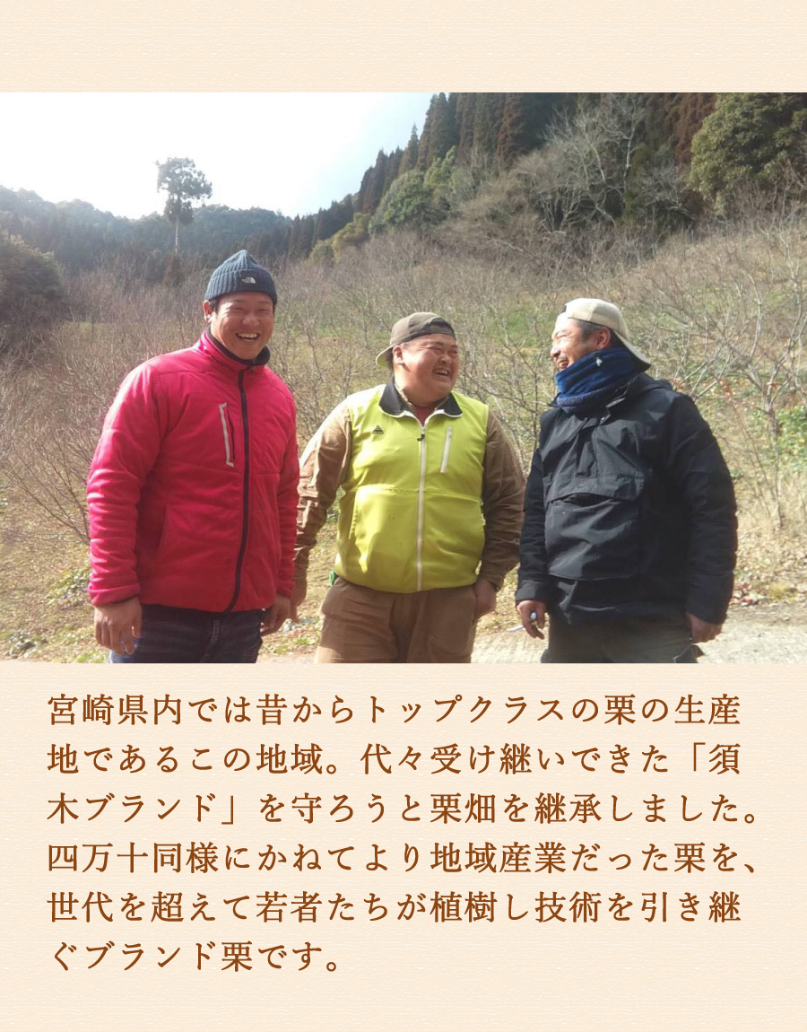 ziguri　しまんと地栗　新栗　秋　旬　ギフト　贈りもの　和栗　焼き菓子　モンブラン　栗スイーツ　クッキー　白砂糖不使用　添加物不使用　四万十川　高知　四万十　ラッピング　包装