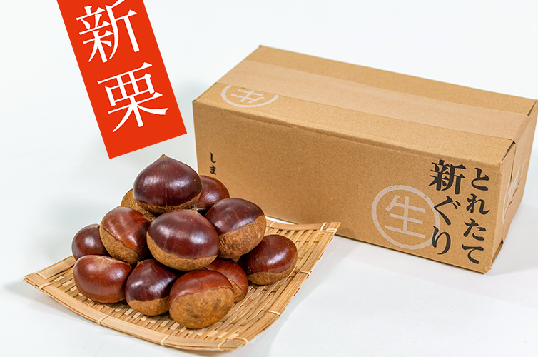 しまんと地栗 生栗　新栗