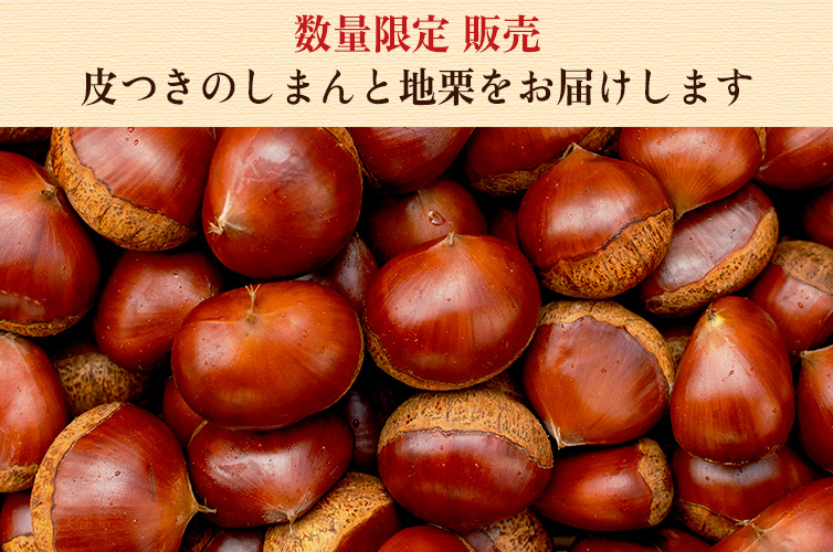 しまんと地栗 生栗 新栗 和栗