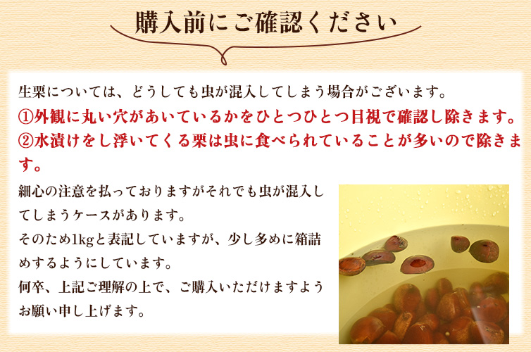 しまんと地栗 生栗 新栗 和栗