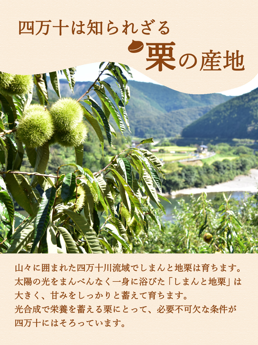 ziguri　しまんと地栗　新栗　旬　ギフト　贈りもの　和栗　モンブラン　栗スイーツ　詰め合わせ　ギフト券　白砂糖不使用　添加物不使用　四万十川　高知　四万十　ラッピング　包装　のし　熨斗