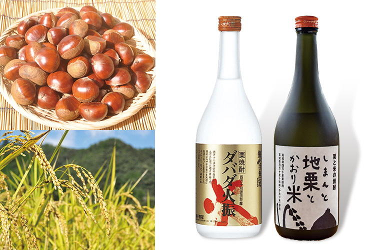 しまんと地栗とかおり米の焼酎 栗 米 焼酎 無手無冠 ダバダ火振 四万十