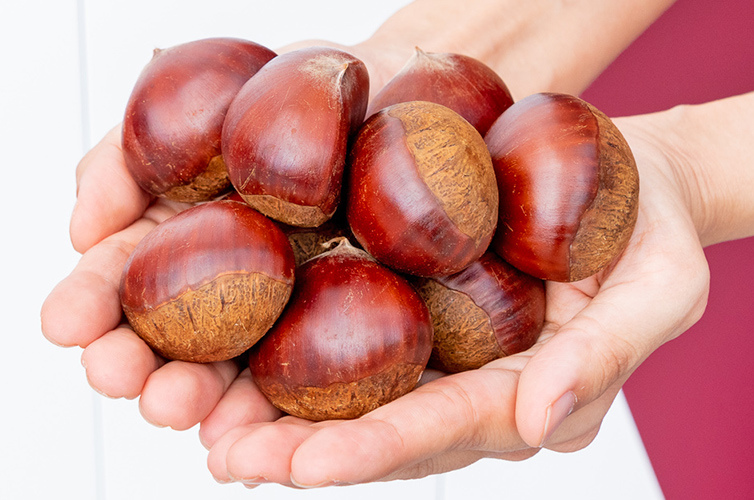 しまんと地栗とかおり米の焼酎 しまんと地栗 かおり米 焼酎 無手無冠 ダバダ火振 四万十