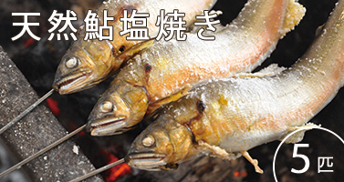 四万十の天然鮎の塩焼き