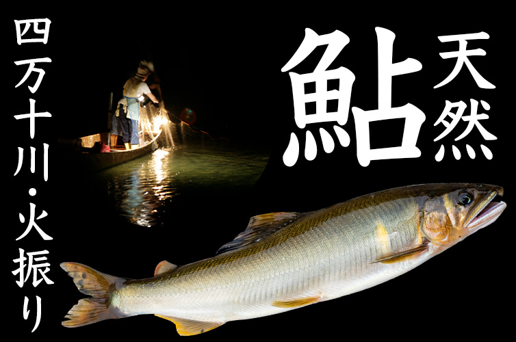 四万十の火振り漁天然鮎（500g）