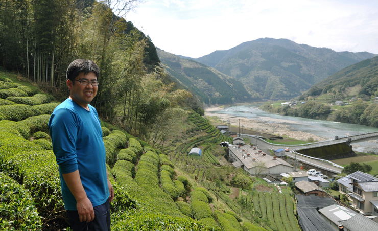 家族みんなで楽しめるほうじ茶
