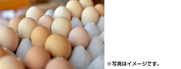 お届けイメージ