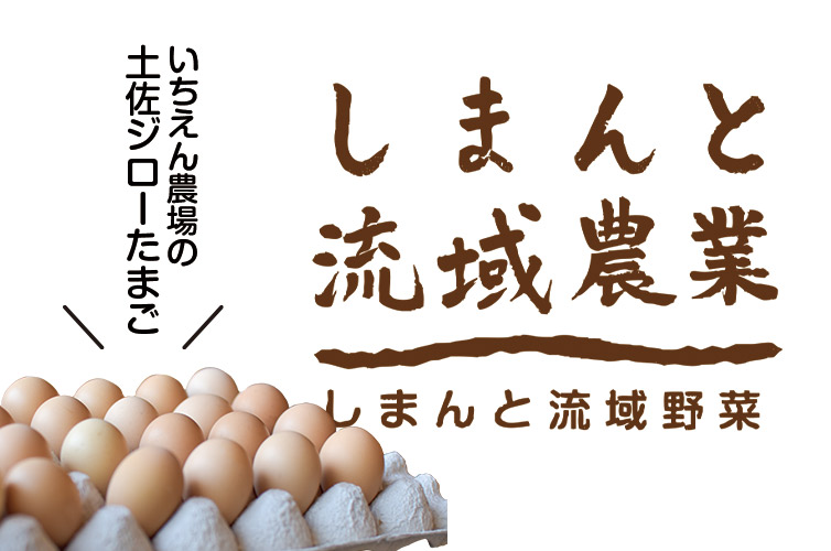 いちえん農園 土佐ジロー