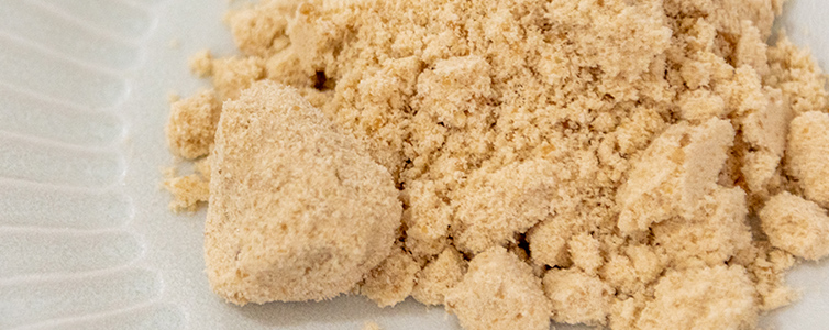 砂糖 国産砂糖 きび糖 サトウキビ ziguri しまんと地栗 