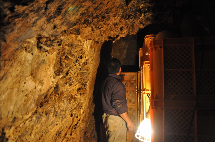 生姜を保存する壺