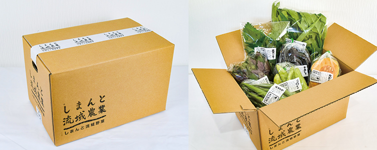 有機農業 農薬不使用 化学肥料不使用 季節野菜 新鮮野菜 ボリュームアップ