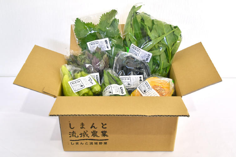 お届けイメージ ボリュームアップ