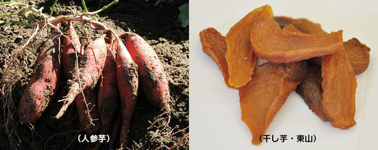 芋と干し芋