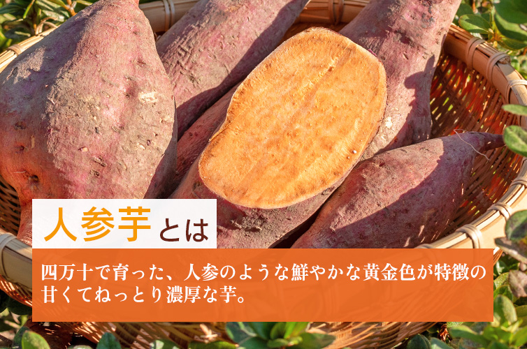 ひがしやま 芋スイーツ 人参芋 四万十ドラマ 芋菓子 お取り寄せ 常温 個包装 ギフト 国産 東山 