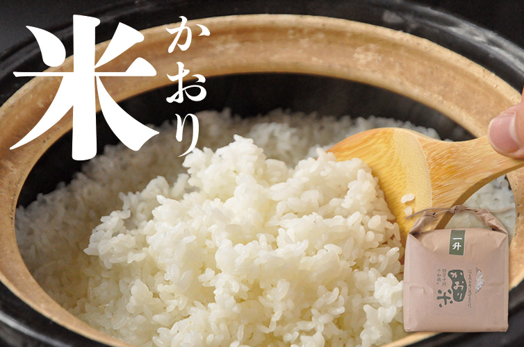 かおり米『十和錦』1升 四万十のお米 お米 四万十町産 高知 四万十 四万十のお米 お米 四万十町産 高知 四万十