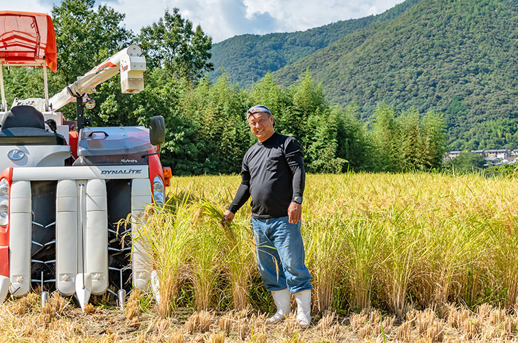 かおり米『十和錦』3升 四万十のお米 お米 四万十町産 高知 四万十