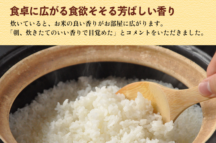 かおり米『十和錦』（80g） 四万十のお米 お米 四万十町産 高知 四万十