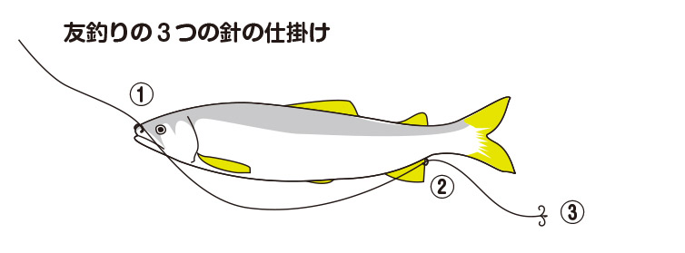 ともがけの仕掛け方