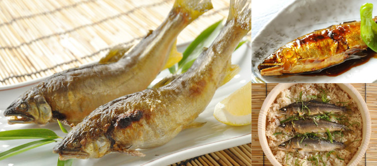鮎 料理 3種類