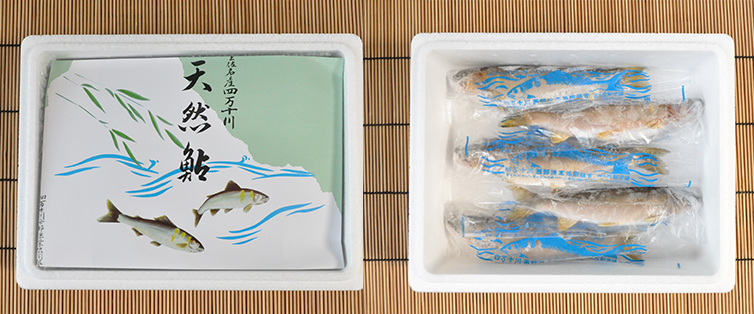 天然鮎　お届けイメージ
