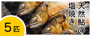 天然鮎 塩焼き鮎 四万十