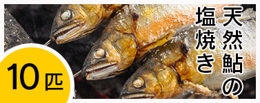 天然鮎 塩焼き鮎 四万十