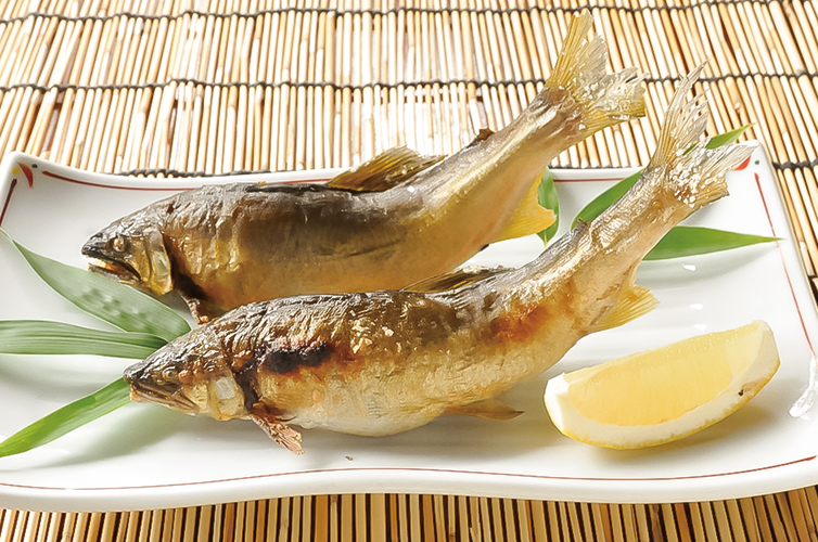 料理 四万十川 友釣り 天然鮎 鮎漁 四万十