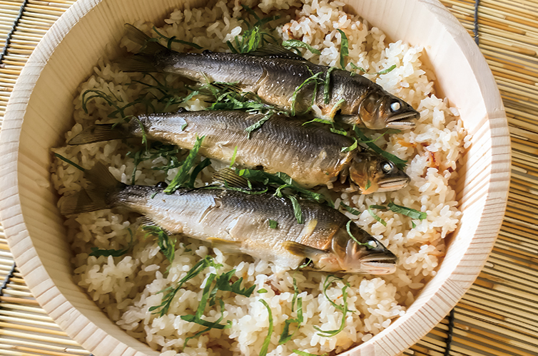 料理 四万十川 友釣り 天然鮎 鮎漁 四万十
