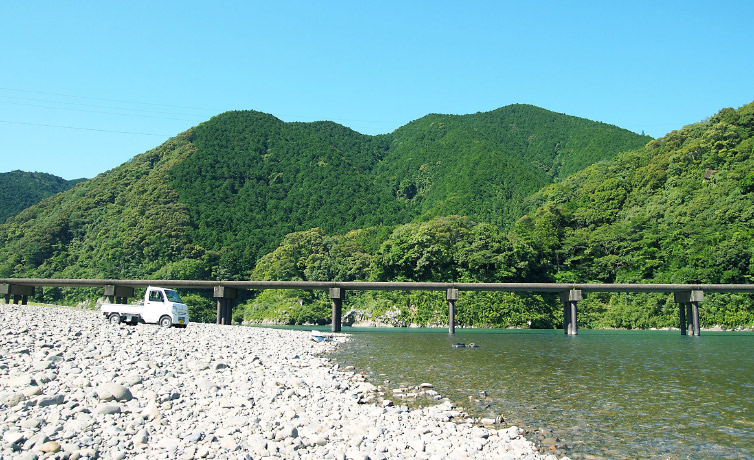 四万十川の写真 沈下橋 生き物