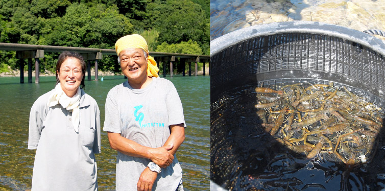 ご夫婦 エビの写真