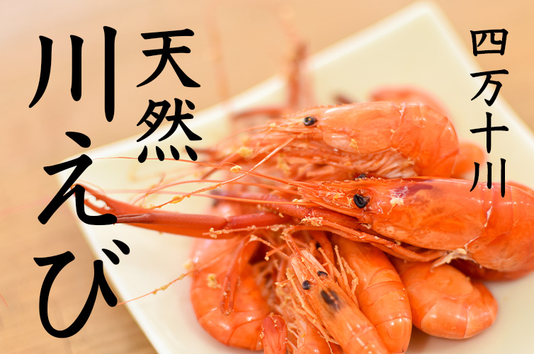 四万十 四万十川 天然川エビ 手長エビ 川の幸 川漁 river
