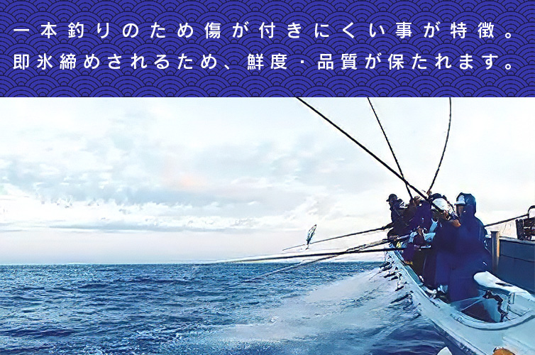 ギフト 藁焼きタタキ カツオのタタキ 高知 塩タタキ 贈り物 gift 新鮮 鰹 冷凍