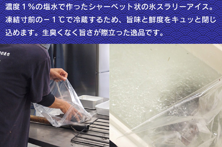 ギフト 藁焼きタタキ カツオのタタキ 高知 塩タタキ 贈り物 gift 新鮮 鰹 冷凍