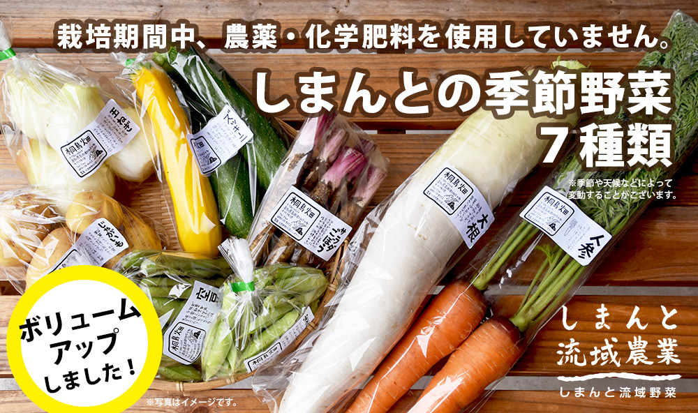 有機農業 農薬不使用 化学肥料不使用 季節野菜 新鮮野菜 ボリュームアップ