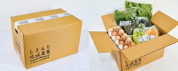 有機農業 農薬不使用 化学肥料不使用 季節野菜 新鮮野菜 ボリュームアップ